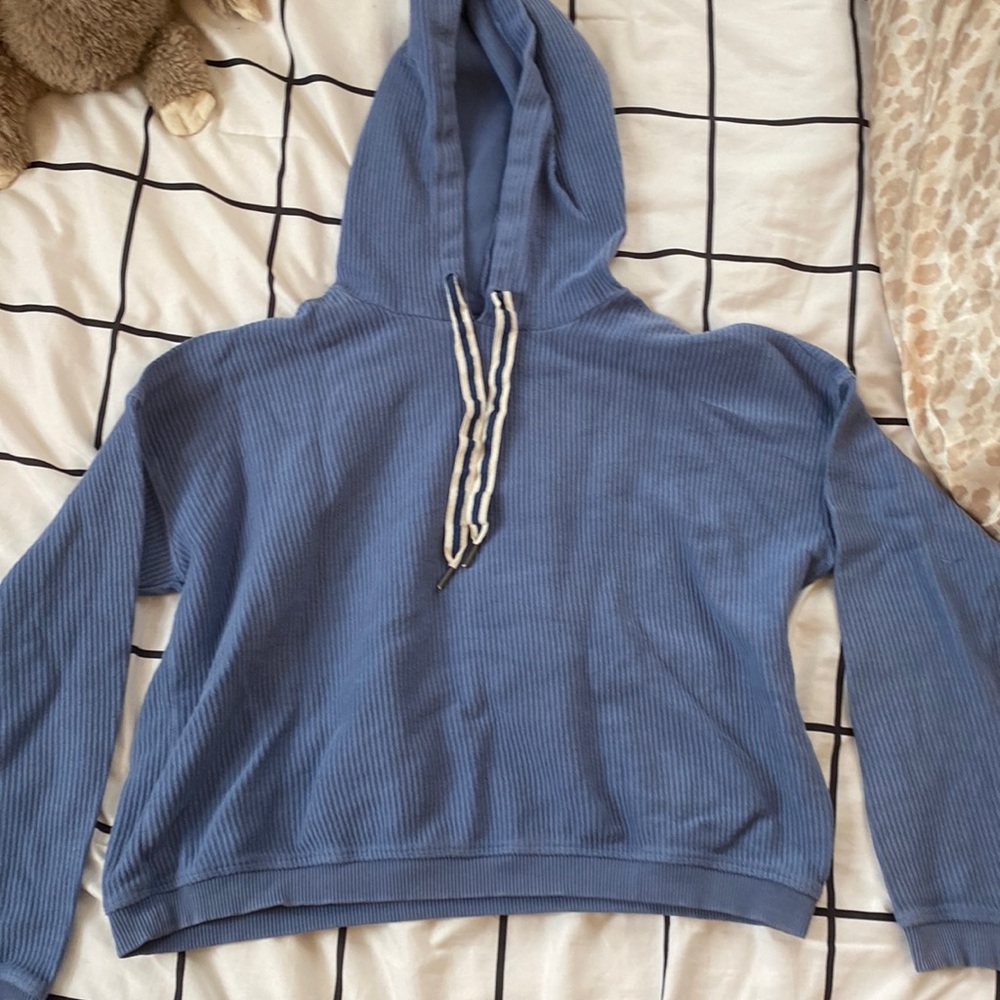 Aerie Cropped hoodie